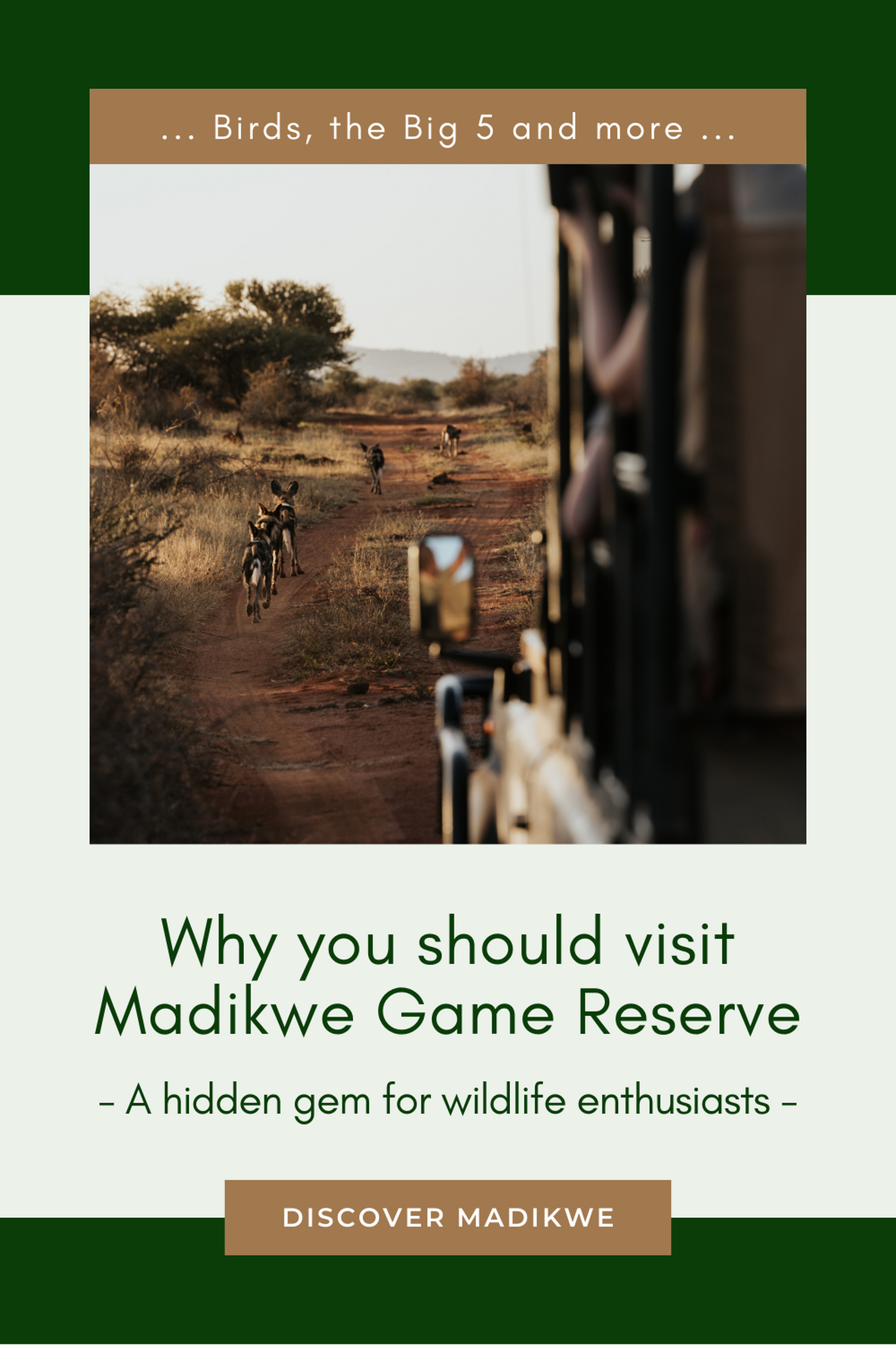 Blog Pinterest Pin Madikwe